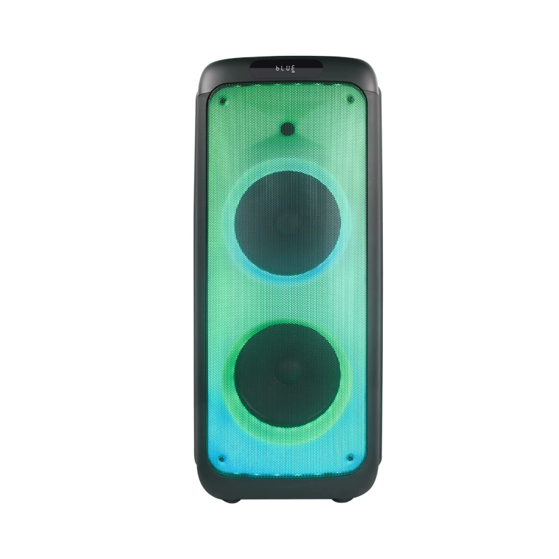 Tms-1035 Temeisheng Distributor Dual 10 Inch FM Audio Bluetooth DJ a-Like Portable Partybox Speaker