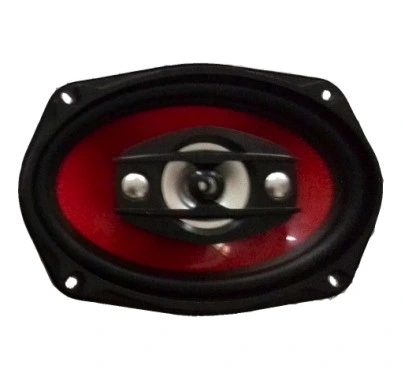 Speaker/Car Audio/Car Woofer/Car Speaker/Ceiling Speaker/Tweeter/Wall Mount Speaker