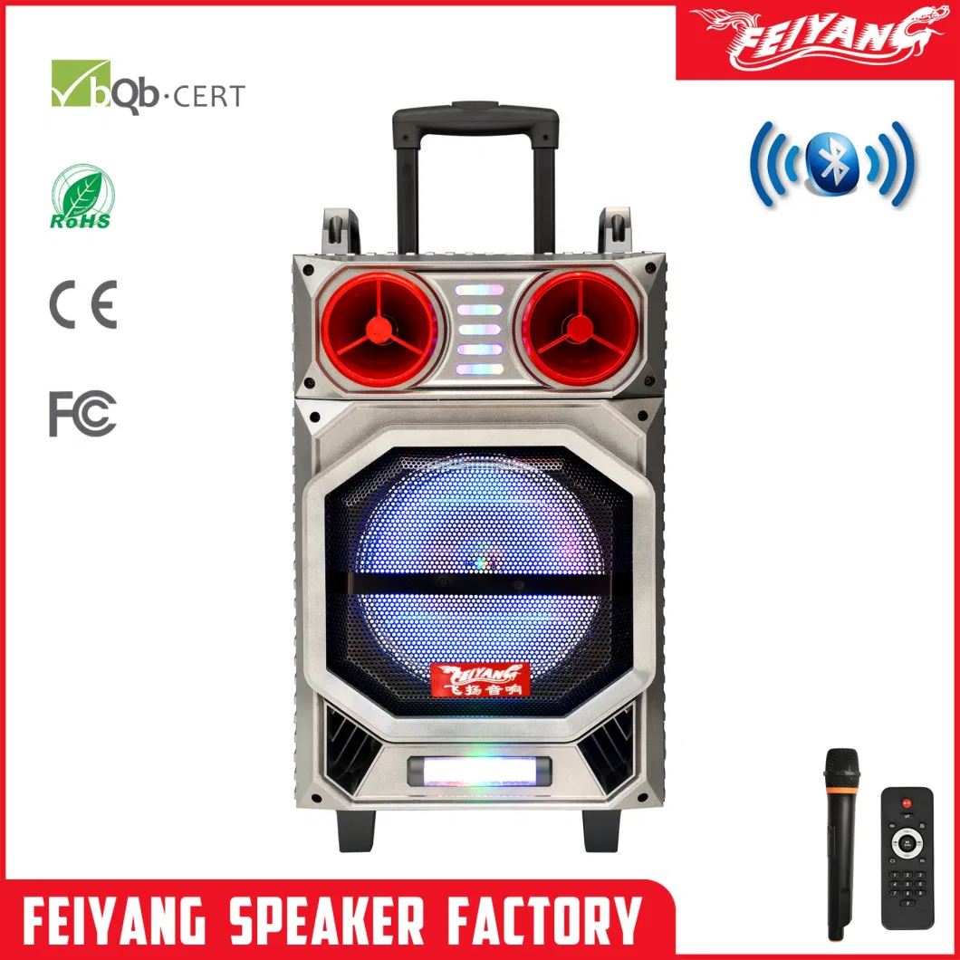 Karaoke Stereo Multifunction Feiyang Professional Audio Loud Speaker F10-22